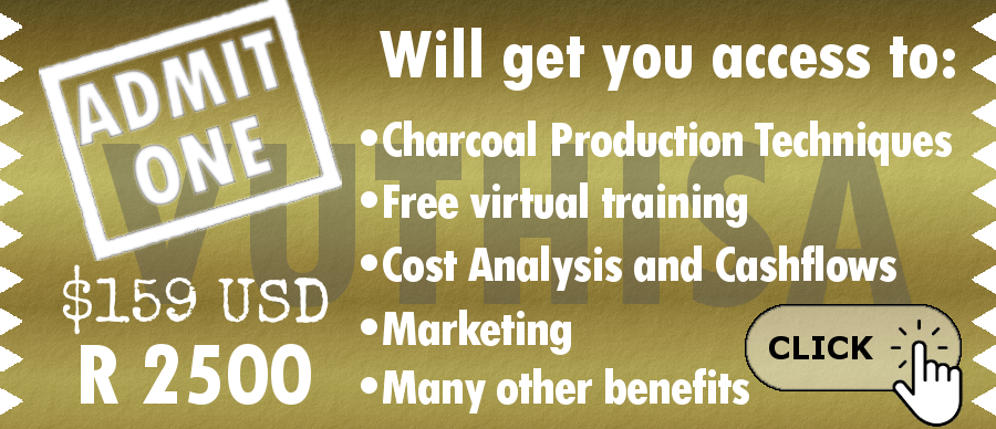 charcoal business plan in south africa